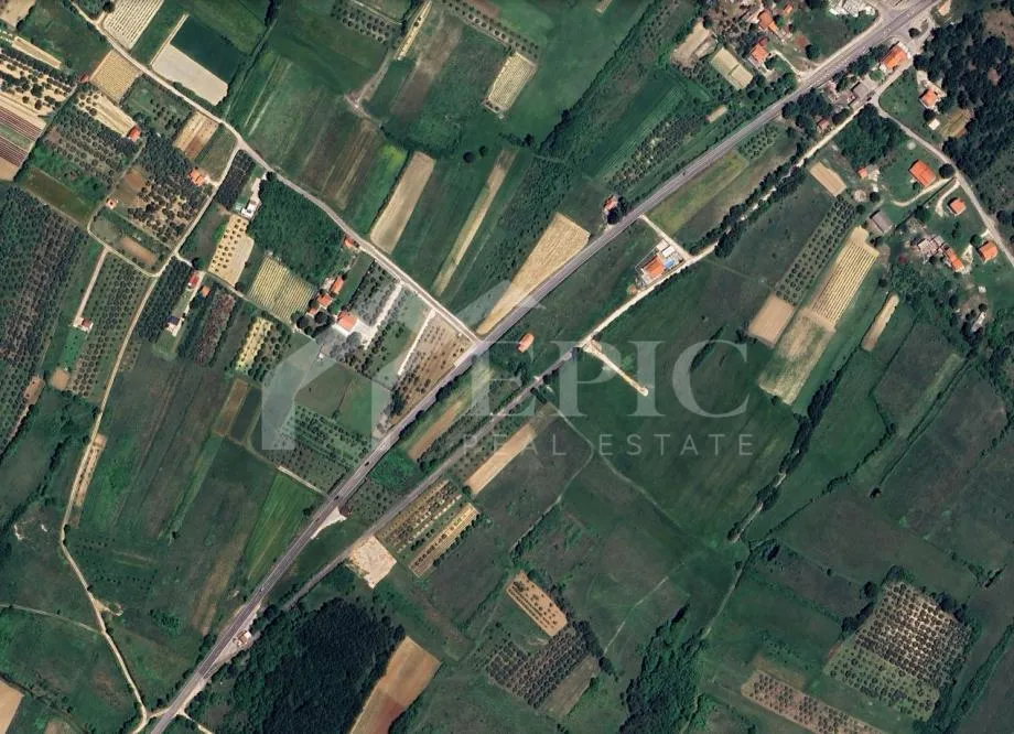 Fotografija