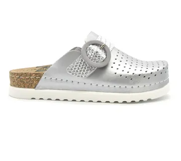 ANATOMSKE KLOMPE, Srebrna, BBAGA - cover