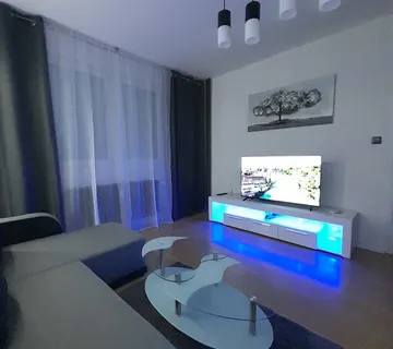 APARTMAN ZA DNEVNI NAJAM - cover