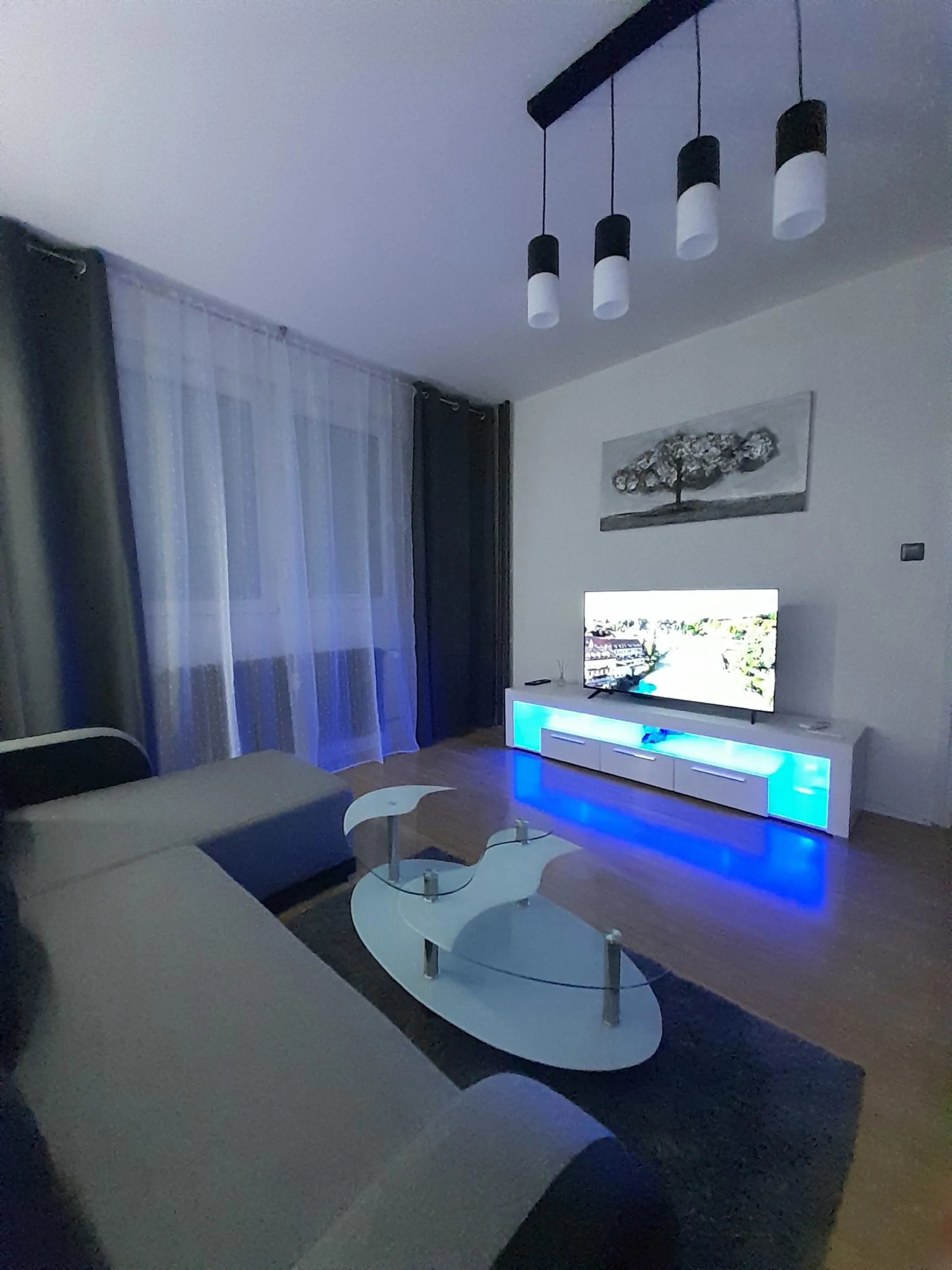 APARTMAN ZA DNEVNI NAJAM - cover