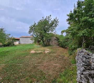 Stare ruševne kuće na velikom terenu od 6880 m2. (prodaja) - cover