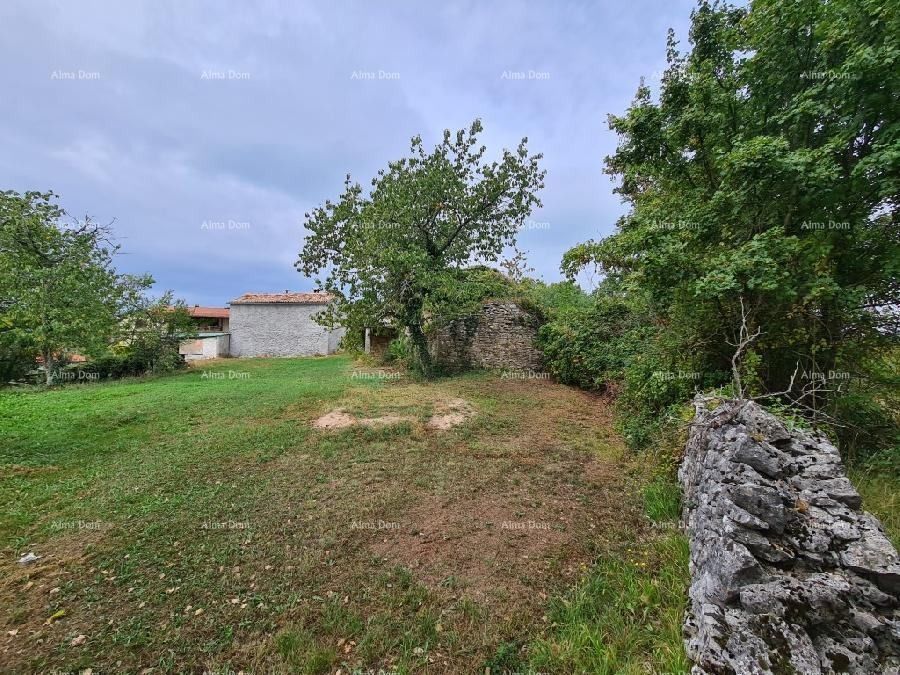 Fotografija