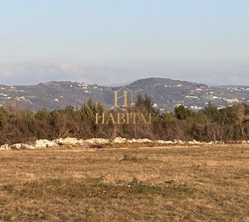 Istra , Savudrija, poljoprivredna parcela , pasnjak 21.258m2 - cover