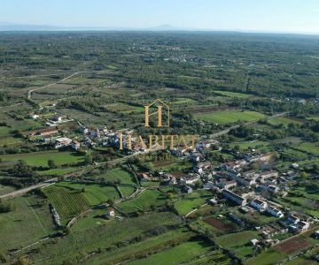 Poljoprivredno zemljiste Čabrunići 12000m2 - cover