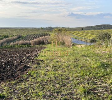 Istra , Buje , poljoprivredno 13.858m2 , pogodno za maslenik ili vinograd - cover