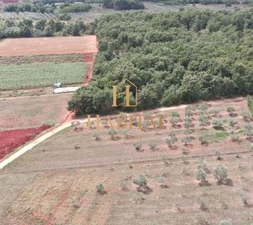 Umag , Maslenik 4000m2, Petrovija - cover