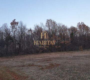 Poljoprivredno zemljište 1895m2 BARBAN CELIĆI - cover