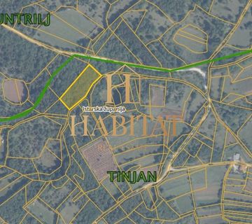 Tinjan,Poljoprivredno zemljište 6636m2 - cover