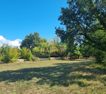 Vodnjan , poljoprivredna parcela 8.229m2 - cover