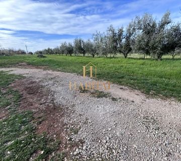 Istra, Umag, Petrovija, građevinska parcela 2.500 m2, prodaja - cover