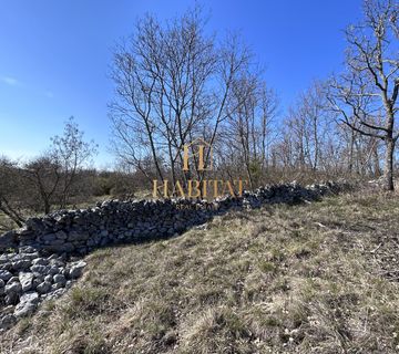 Istra , Tinjan , pasnjak , suma , oranica 31254m2 , idealno za ranc - cover