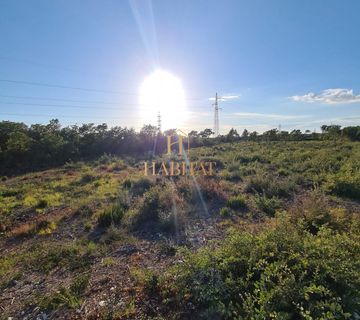 Istra, Peroj, poljoprivredna parcela, u naravi šuma, 514 m2, prodaja - cover