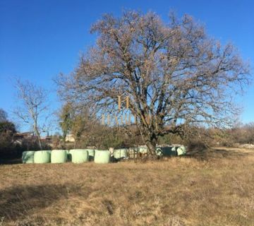 Barban, gradjevinska parcela 3352m2 - cover
