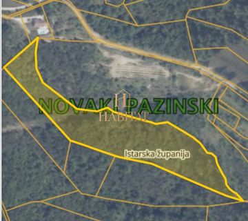 Pazinski Novaki šuma 22.650m2 - cover