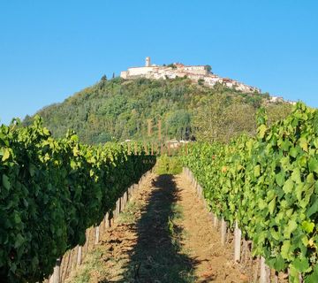 PREDIVAN POGLED NA MOTOVUN , poljoprivredna parcela 3213m2 - cover