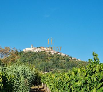 Motovun, poljoprivredno zemljiste 4218m2, pogodno za vinograd - cover