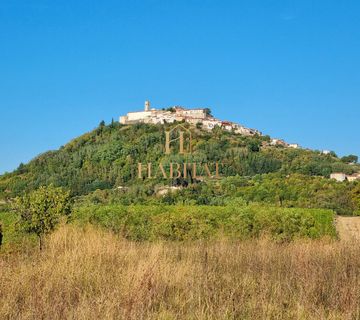 Motovun , zemljiste 4485m2 - cover