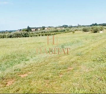 Istra , Brtonigla , poljoprivredno zemljiste 7596 m2 - cover