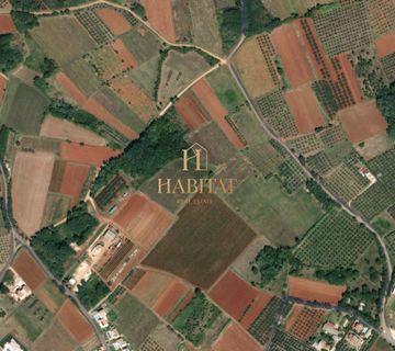 Istra, Kaštelir, maslenik, 3.250 m2, 80 maslina, prodaja - cover
