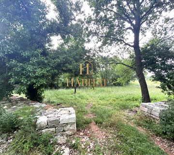 Istra , Vodnjan , 8229m2 , poljoprivredno zemljiste - cover