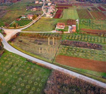 Poljoprivredno zemljište ŠTIFANIĆI 3300m2- 50 maslina - cover