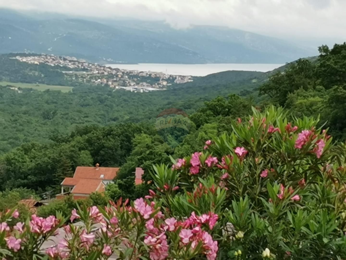 Fotografija