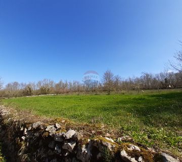 Istra, Sveti Petar u Šumi - savršen građevinski teren 2500m2 - cover