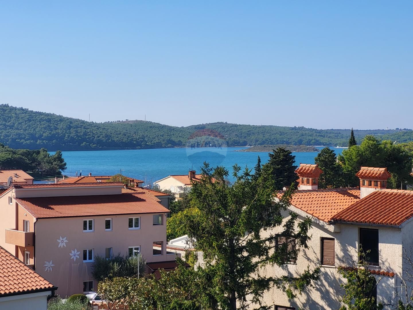 Fotografija