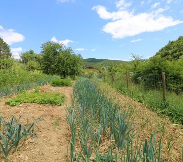 ISTRA, Pazin- kuća na osami - cover