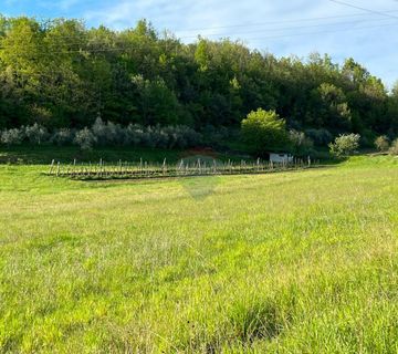 Istra, Račice - kuća u nizu za adaptaciju sa imanjem - cover