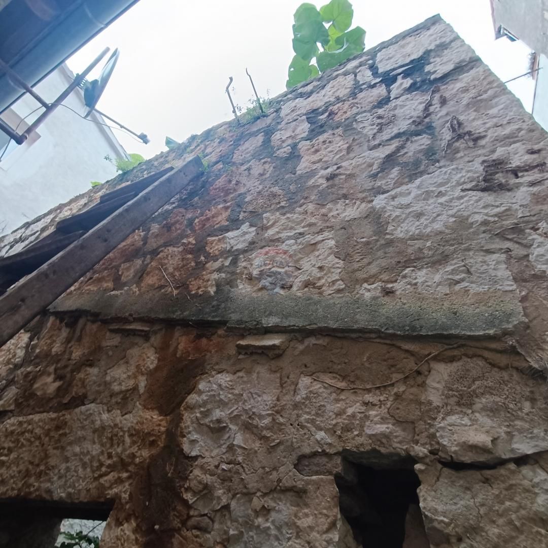 Fotografija
