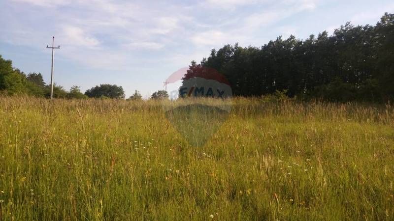 Fotografija