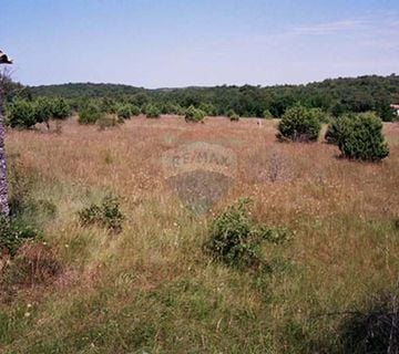 Istra,okolica Rovinja, zemljište 25117m2 - cover