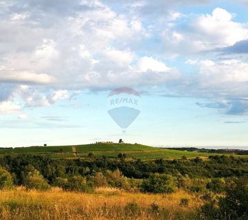 Istra, Buje - top lokacija, panoramski pogled na more - cover