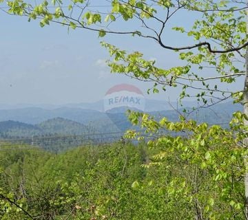 FUŽINE, BITORAJ - teren u srcu šume - cover