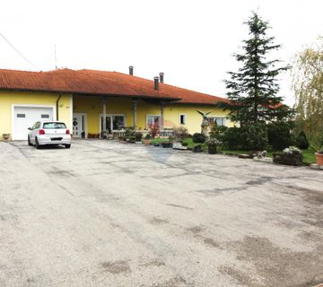 Pisarovina, Bratina, Obiteljska kuća 590m2, okućnica 3868m2, garaža - cover