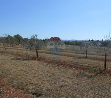 Istra,okolica Vodnjana i Marčane, građevinsko zemljište, 33 Eura po m2 - cover