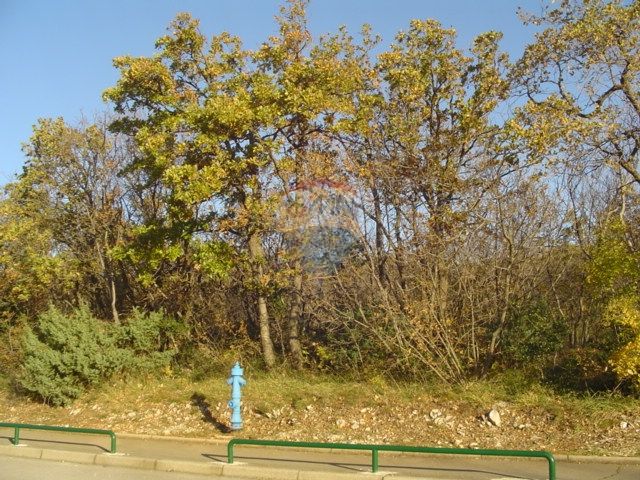 ZEMLJIŠTE 7400m2 KOSTRENA U SPORTSKO REKREATIVNOJ ZONI - cover