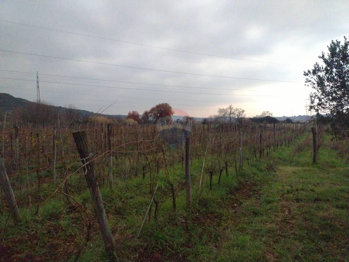 Fotografija