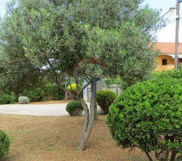 Otok Ist-samostojeća kuća - cover