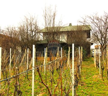 Brckovljani, Martinščina, kuća i vinograd - cover