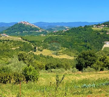 Starina za adaptaciju , Rakotule , Motovun - cover