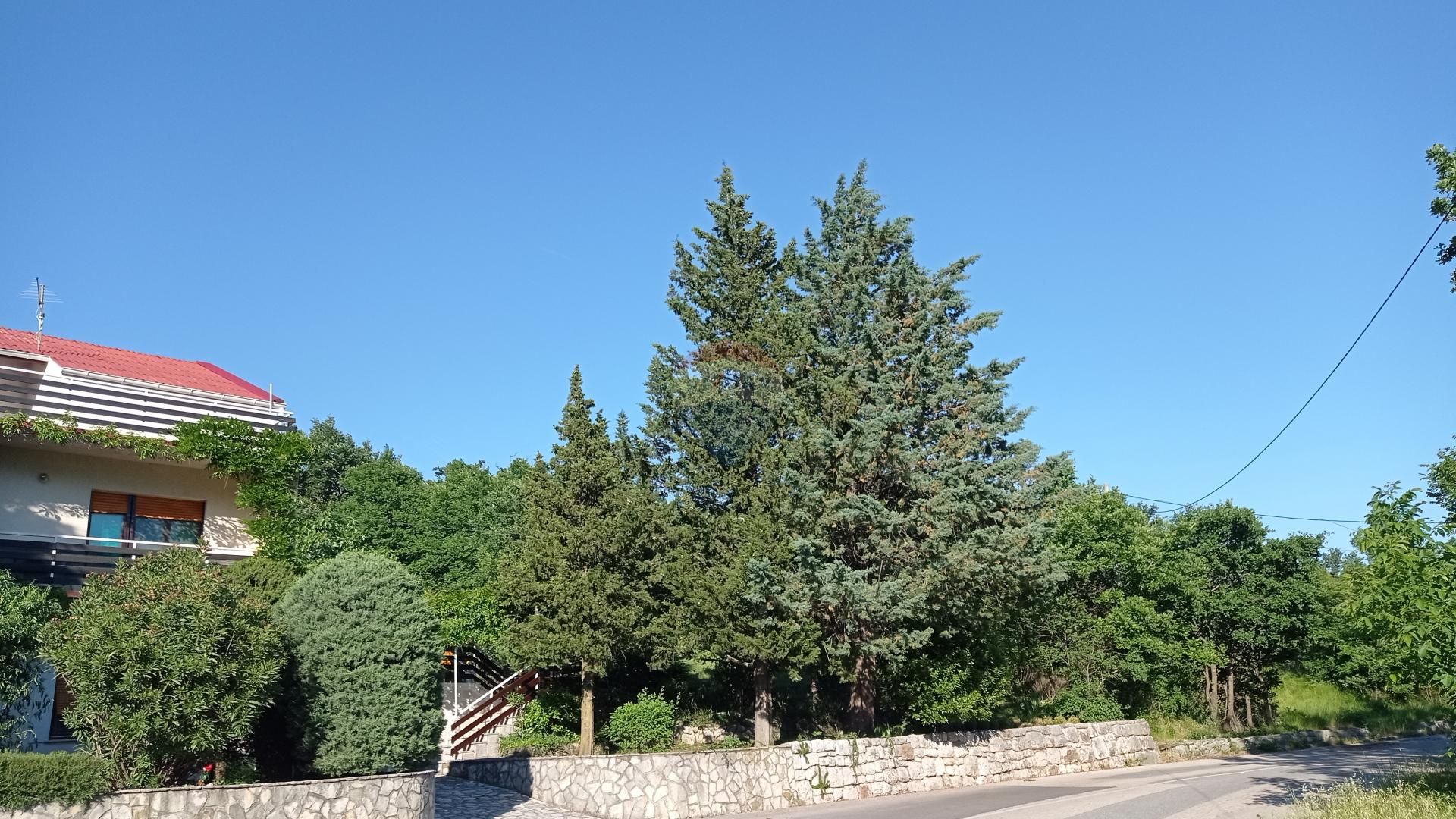 Fotografija