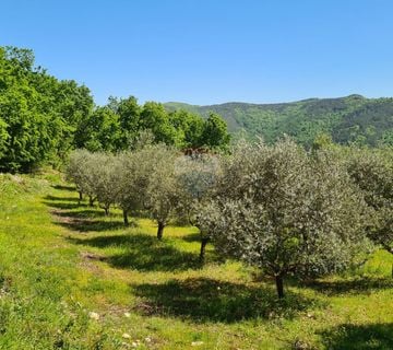 Oprtalj, okolica: Kombinacija građevinskog i poljoprivrednog zemljišta predivnog pogleda - cover