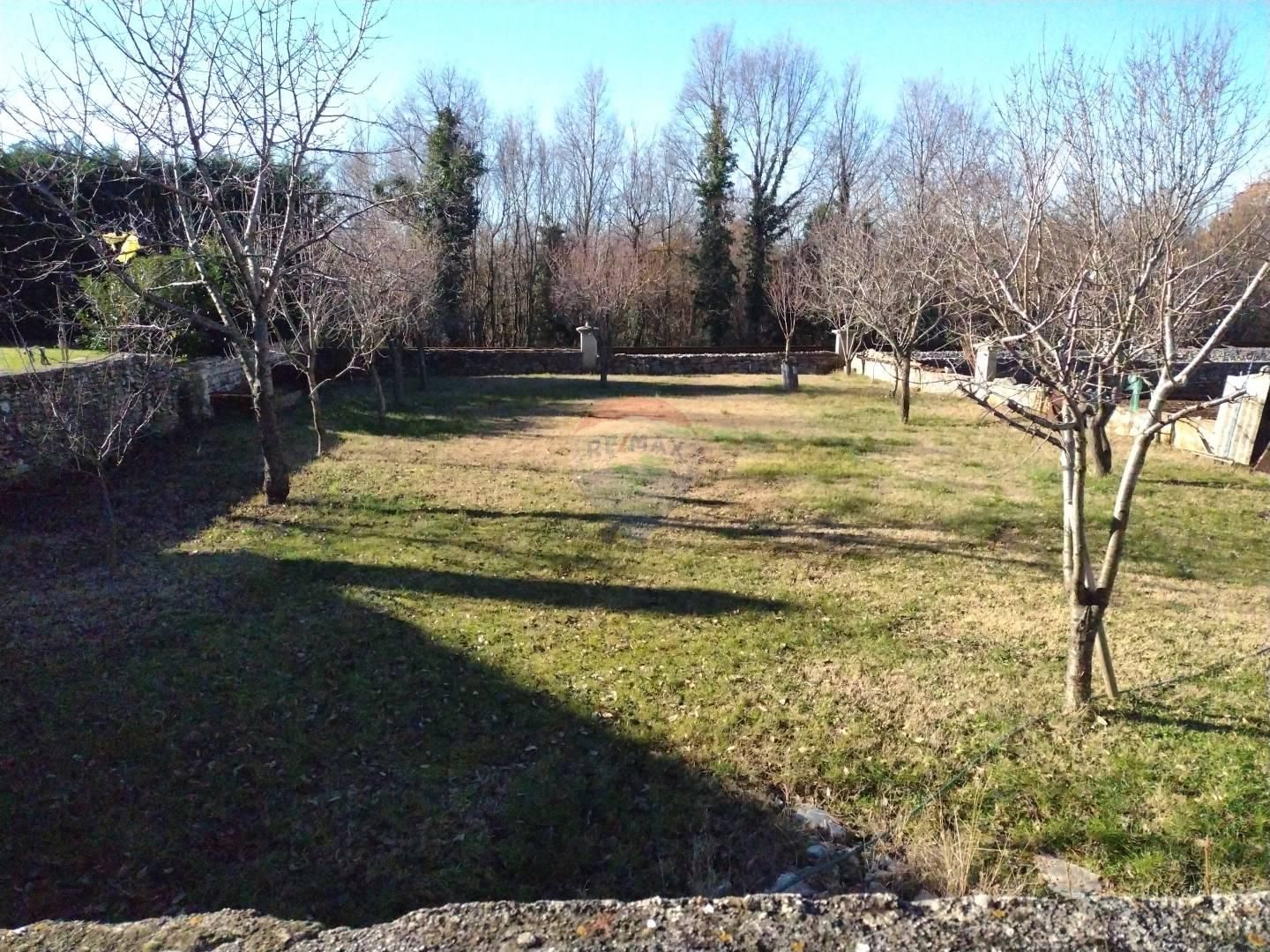 Fotografija