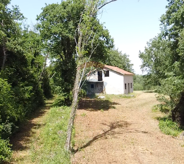 Istra, Višnjan - Samostojeća kuća sa 4900 m2 okućnice - cover