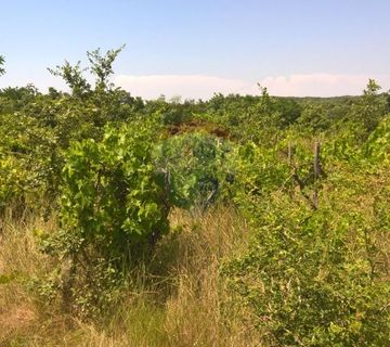 Baderna, Imanje, 30 500m2 - cover