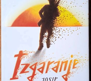 IZGARANJE Josip Mlakić DOMOVINSKI RAT - cover