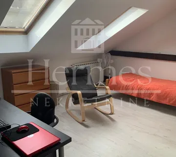 5-SOBNI STAN S VLASTITIM PARKINGOM, PALMOTIĆEVA ULICA (140 m2) - Zagreb