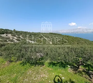 MASLINIK, OTOK BRAČ, POVLJA - cover